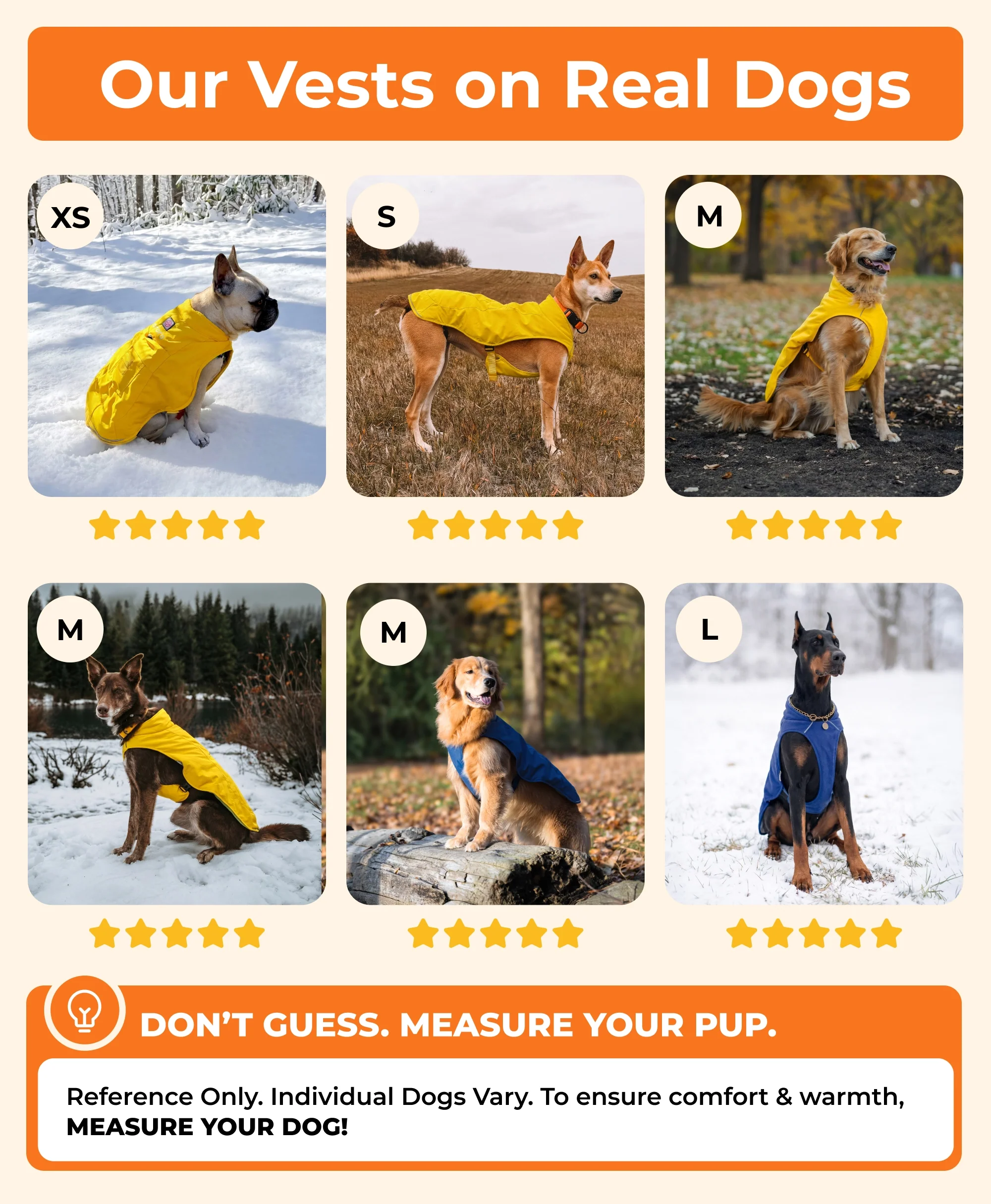 Koldpwoof Heated Dog Vest - Image 7