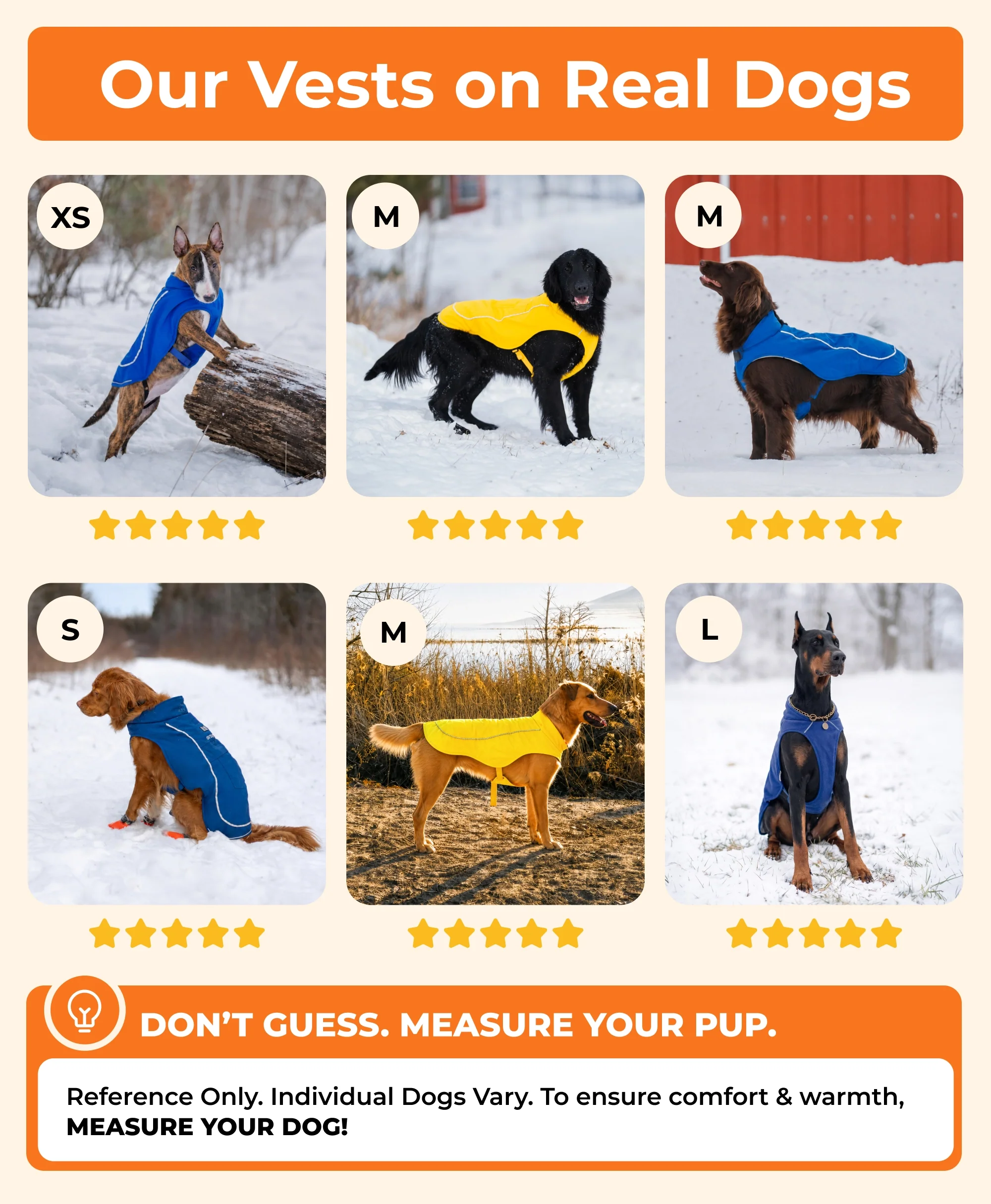 Koldpwoof 4-Zone Heated Dog Vest w/ LED Lights - Image 24