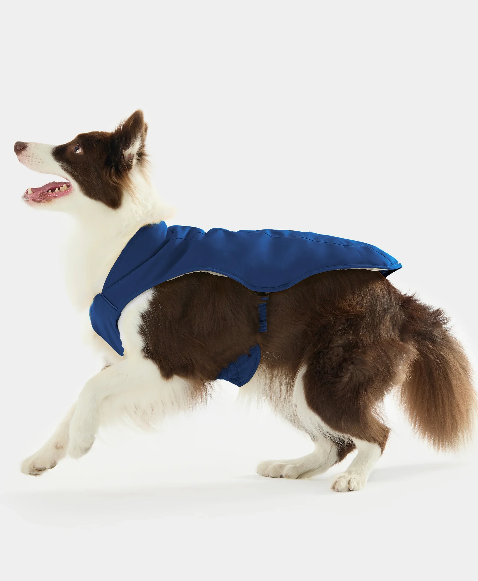 Koldpwoof Heated Dog Vest - Image 9