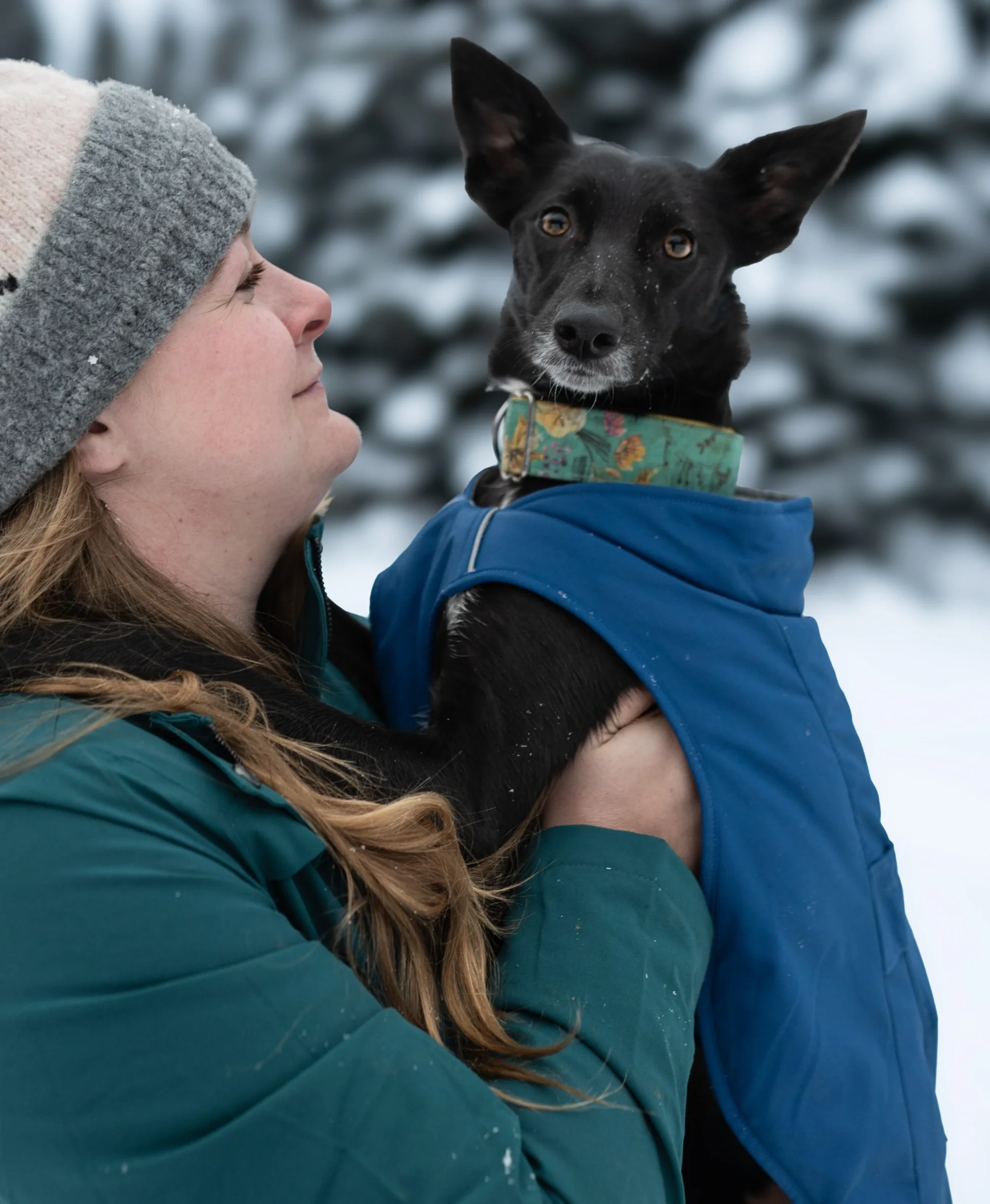 (Open-box) Koldpwoof Heated Dog Vest (Battery Set Not Included) - Image 16