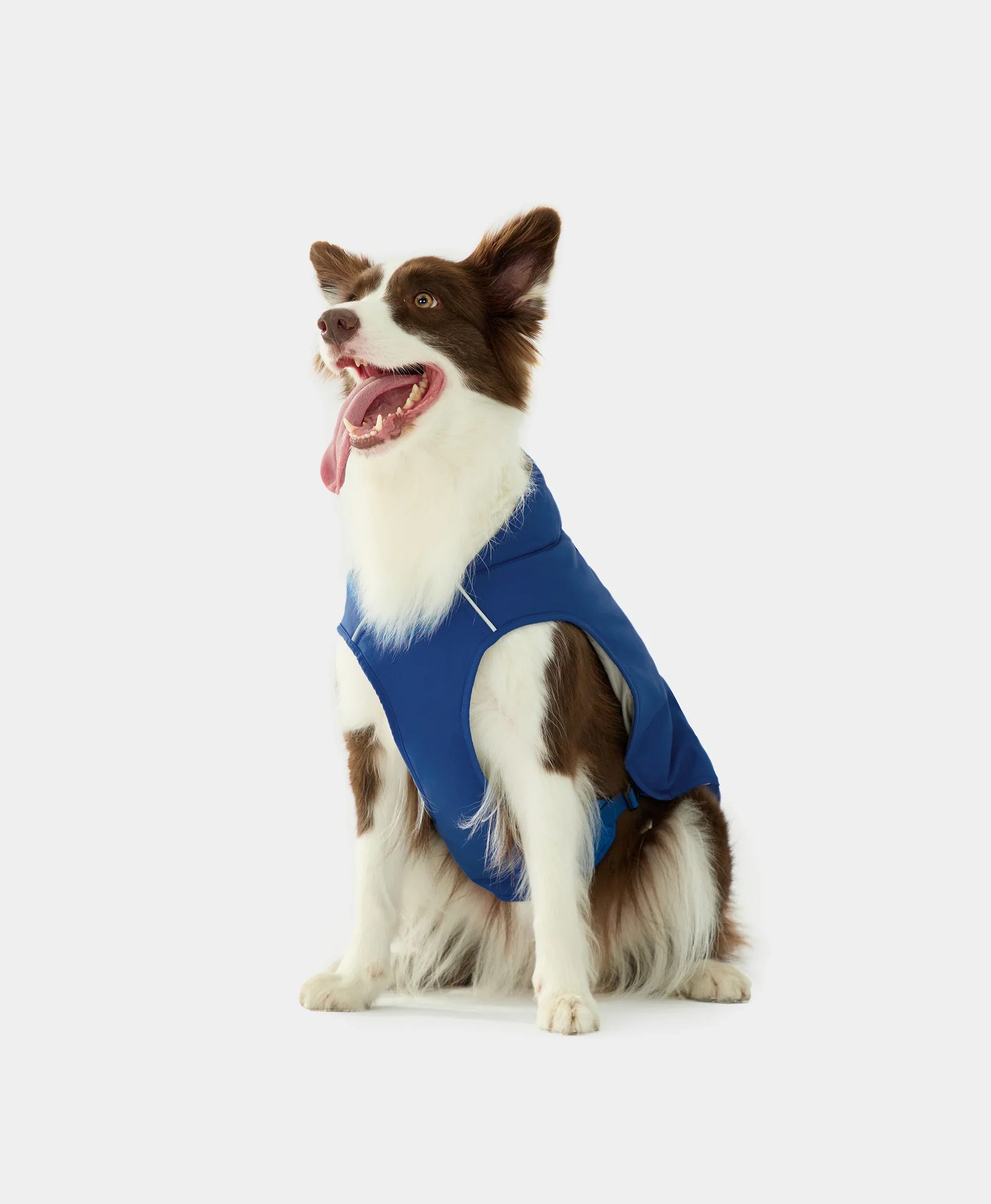 (Open-box) Koldpwoof Heated Dog Vest (Battery Set Not Included) - Image 18