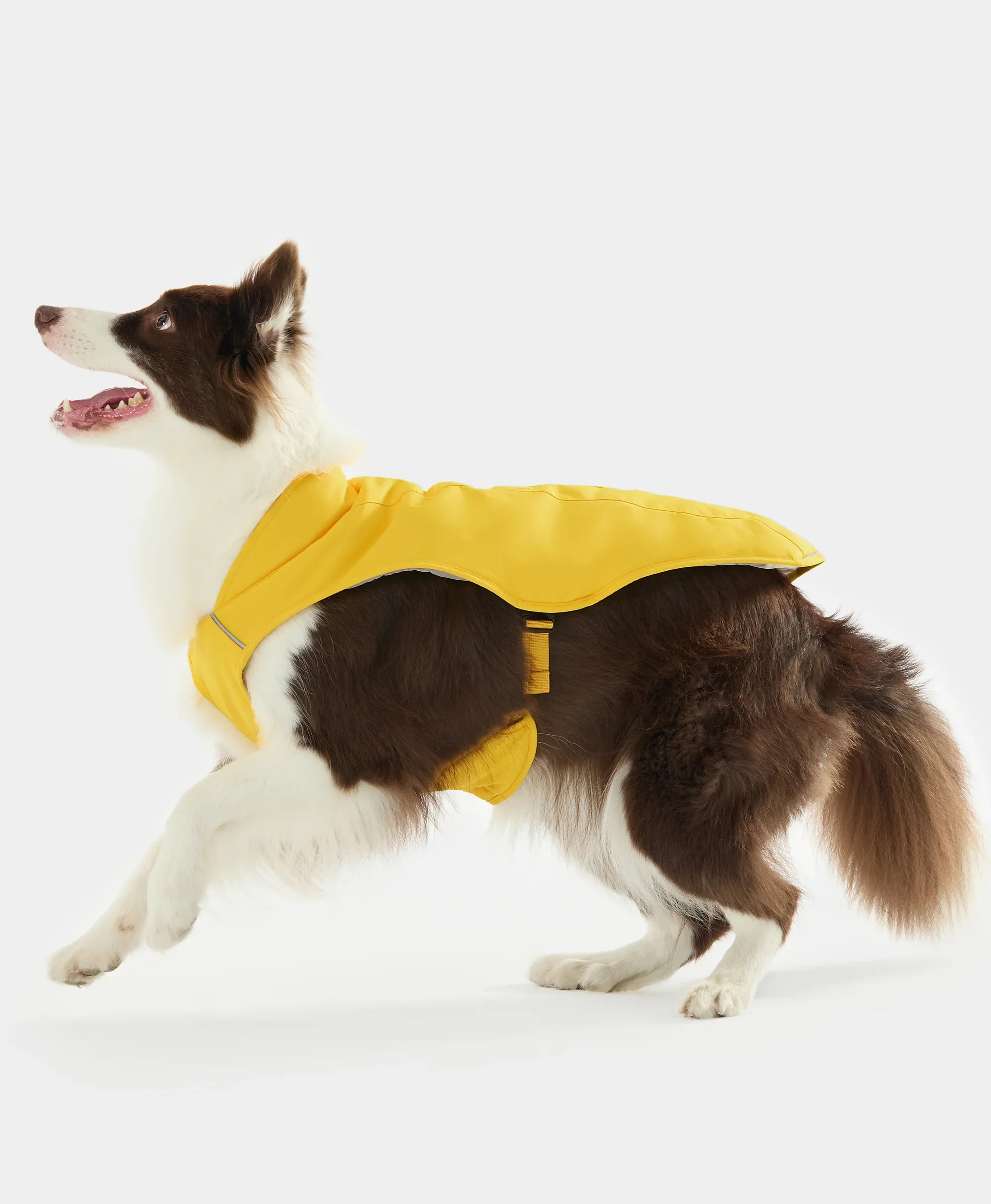 (Open-box) Koldpwoof Heated Dog Vest (Battery Set Not Included) - Image 6